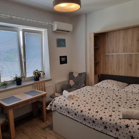 Garsoniera Dukla 289 Apartment Decin Exterior photo