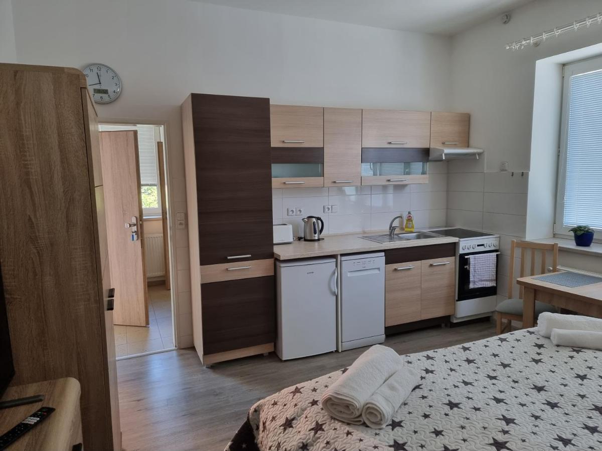 Garsoniera Dukla 289 Apartment Decin Exterior photo